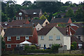 Crediton : Cromwells Meadow