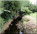 East Brook below St Cadoc