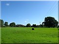 House Meadow