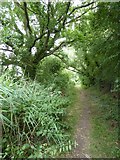 SO8742 : Track and bridleway near Baughton by Philip Halling