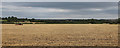 Ploughing field by Northampton Road