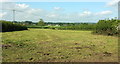 Farmland near Gillingham