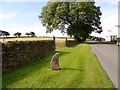 Roadside stone