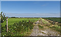 Track/footpath starting by London Farm