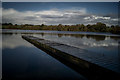 Pickmere Lake