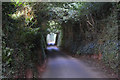 Mid Devon : Country Lane