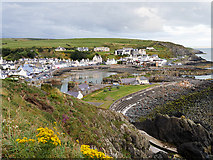 NW9954 : Approaching Portpatrick on the Southern Upland Way by David Dixon