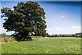 View east from the footpath to Willersey