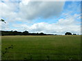 Fields near Claygate