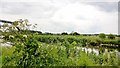 Looking across New River Ancholme towards Castlethorpe Farm