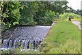 Weir on the River Clywedog, Erddig