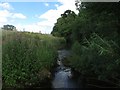 Looking downstream along the River Pont