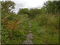 Old road, Murton