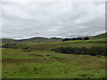 NS8109 : Wet pasture near Glendyne Burn by Alan O'Dowd