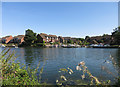 Houses on Temple Island