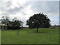 Great Yarmouth Minster: churchyard (iv)