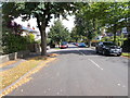 Vernon Road - viewed from Kenilworth Avenue