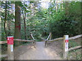 "Jurassic Park" Red Route trail, Bedgebury Forest