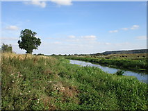 SK6793 : The River Idle near Newington by Jonathan Thacker