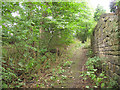 Footpath below Park View