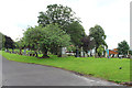 Cemetery, Kilmarnock