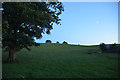 South Hams : Grassy Field