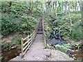 Footbridge and steps in Shaw