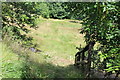 Footpath down to Silent Valley LNR