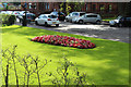 Flower Bed, Kilmarnock