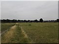 Public Footpath near Park Farm