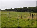 Animal Farming at Horton Park Farm