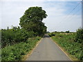 The lane to Whelford