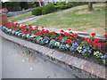 Flowerbed outside Chipperfield Garden Centre