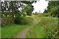 Whita Road above Langholm