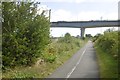 South Tees Cyclepath, Maze Park