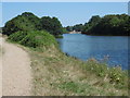 Heronry Pond, Wanstead Park