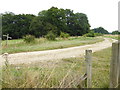 Footpath and bridleway junction east of the B2139