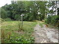 Footpath sign with a guard dog at Hoe