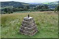 Cairn for Langholm Common Riding