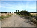 Farm Road North of Shalstone