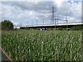 TQ5479 : Marshland, railway and pylons by David Smith