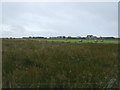 Farmland, Dunnet