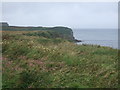 View up the coast, Dunnet Head