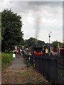 TL1597 : Steam loco prepares to depart Ferry Meadows station by Paul Bryan