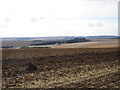 View towards Ling Hall Farm