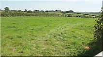SS7621 : Cattle pasture near Trittencott Cross by Derek Harper