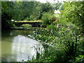 Bridge over the lake at Chilham Castle