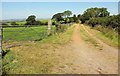 Track near Trittencott Cross