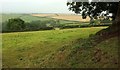 Farmland near Dinnwell