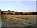 Fields near Thrybergh Country Park